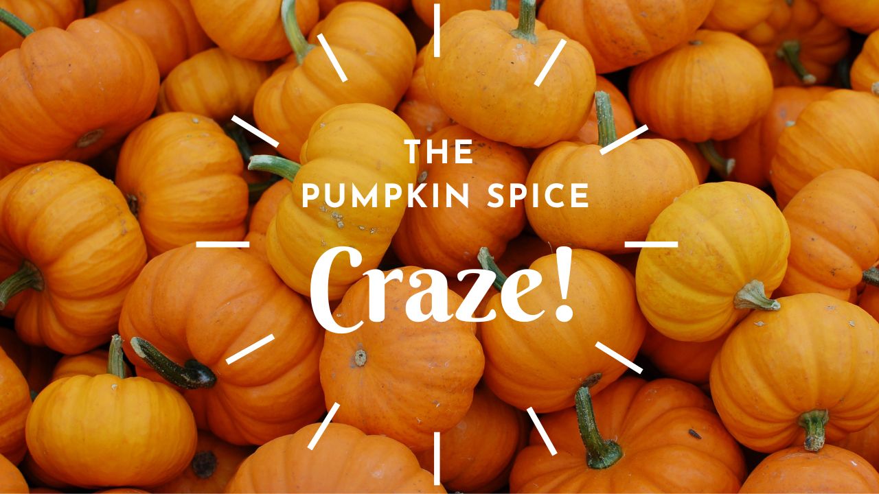 The Pumpkin Spice Craze